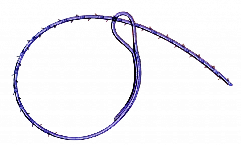 nloc.png